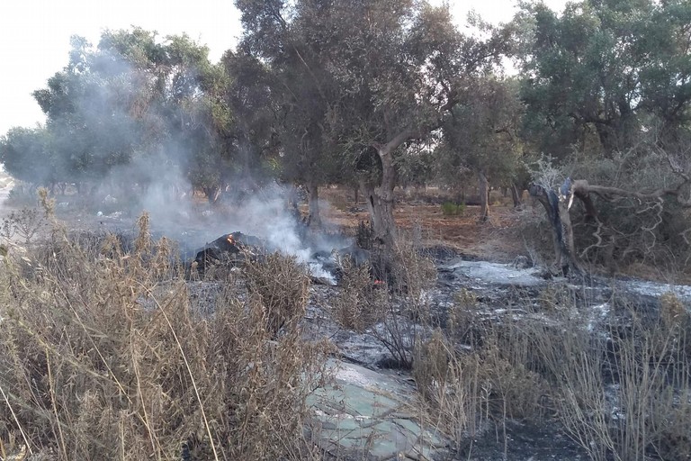 Il territorio incendiato