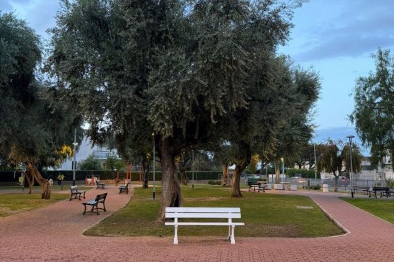 Municipio IV approva apposizione di un targa nel giardino Montalcini in memoria di Sabina Buonomo vittima della strada