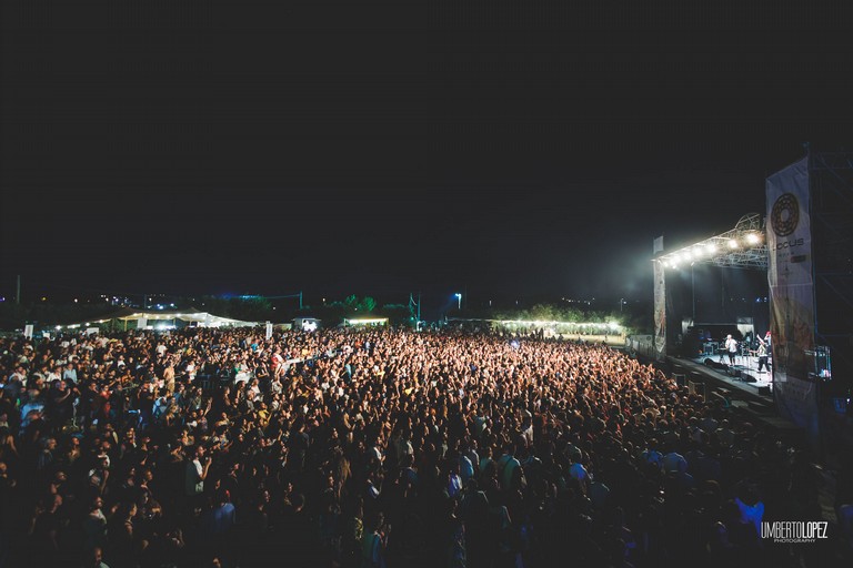 locus festival