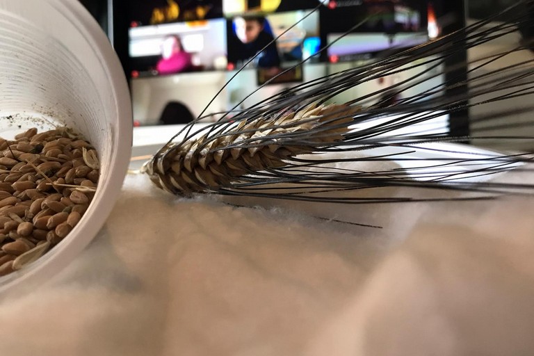 Al via Agridattica integrata per scuole pugliesi