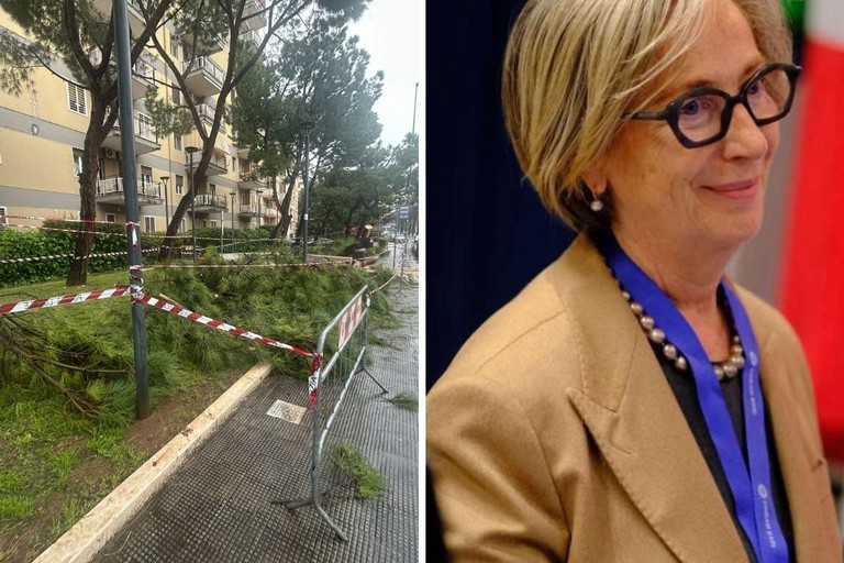 Alberi caduti a Bari Perlino