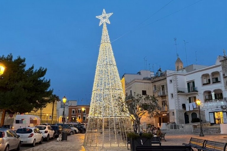 Albero di Natale danneggiato. <span>Foto Comune di Bari </span>