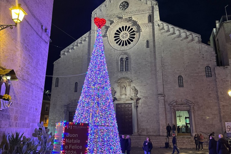 Albero Maldarizzi Bari