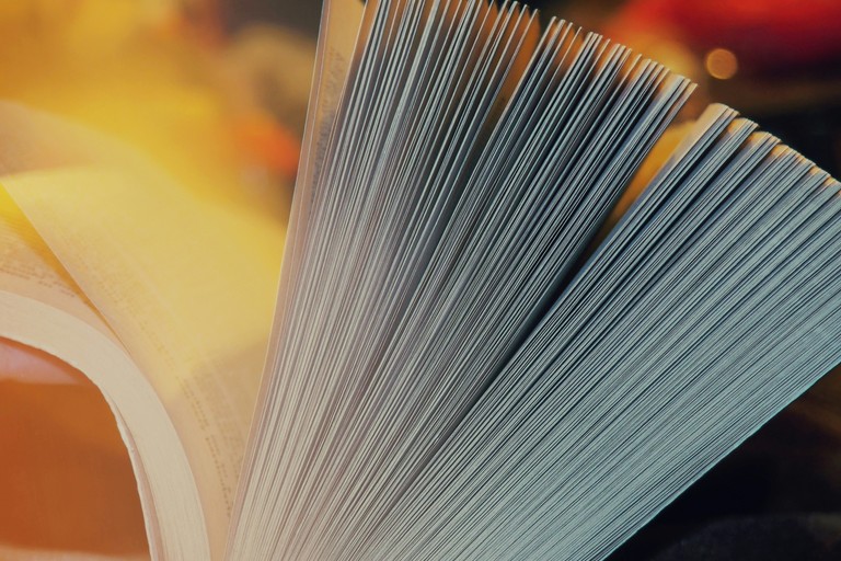 Maggio dei Libri