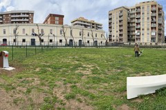 Parco ex Rossani, aperte due aree sgambamento cani
