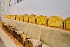 Levante PROF celebra a Bari la decima edizione