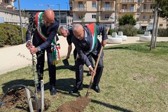 Gaza, a Parco Rossani ulivo piantato dai sindaci di Bari e Beit Jala