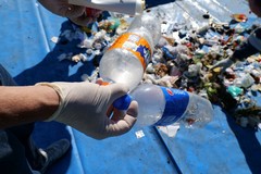 Raccolta porta a porta, a Bari il 50% dei rifiuti non è conferito correttamente