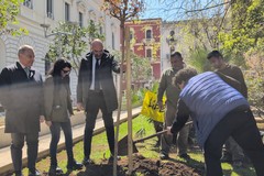 In piazza Cesare Battisti piantato l'albero per le vittime innocenti di mafia