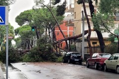 Maltempo su Bari, verifica dei danni in corso