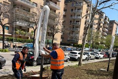 Giardino viale Kennedy, al via i lavori di potenziamento dell'illuminazione