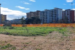 Proseguono gli interventi di forestazione urbana del Bosco Sociale nel quartiere Loseto a Bari