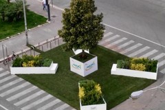 Bari, torna Primavera Mediterranea. Davanti al Petruzzelli e in via Argiro arriva il verde