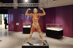 Successo per mostre e musei a Bari, oltre 6.500 accessi a Capodanno