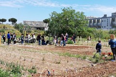 Bari, i malati di Alzheimer e non solo potranno passeggiare all'Orto Domingo