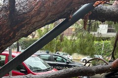 Maltempo, a Bari danni ed incidenti