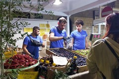 Successo pieno per la Sagra dell'Oliva Termite a Bitetto