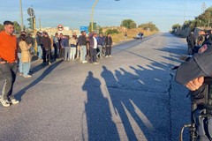 Crisi olivicola, Confagricoltura Bari-BAT: oggi mobilitazione a Bari