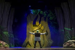 Al Teatro Petruzzelli di Bari arriva il musical "Shrek"