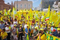 Agricoltori in piazza a Bari, Coldiretti: «Speculazioni e frodi distruggono il valore del vero olio italiano»