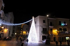 Stasera si accende l'Albero di Natale davanti alla Cattedrale di San Sabino