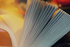 La rete Bari Social Book aderisce al Maggio dei Libri: oltre 40 eventi