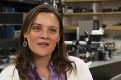 La Nasa premia la ricercatrice barese Antonia Gambacorta