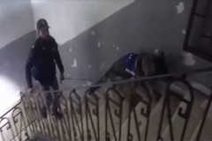 «Amò, ti voglio strangolare». Così si vantavano di aver ucciso Vasienti