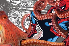 Bari capitale del fumetto: a giugno torna il BGeek