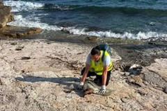 Cane si perde e finisce in mare: salvato da due operatori ecologici