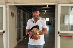 Il sindaco di Bari in visita al canile comunale