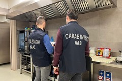 Blatte in un centro commerciale del nord barese: sospesa un'attività di ristorazione