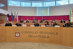 Incendi boschivi in Puglia, illustrato il Piano Regionale 2025