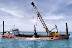 Ricerca, sedimenti portuali e gusci di mitili: l’innovativo progetto europeo, coordinato dal Politecnico di Bari