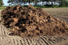 Cattivi odori a Capurso, il sindaco chiarisce: "È un fertilizzante ricavato dall'organico"
