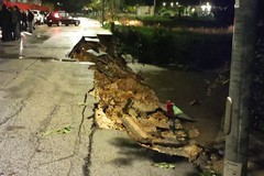 Maltempo, nel Barese crolla una strada ad Adelfia. Allagamenti in diversi comuni