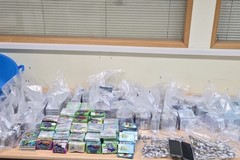 In casa con 60 chilogrammi di hashish ghiacciato: arrestati una 57enne e un 35enne