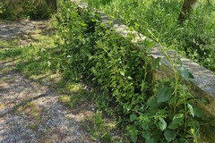 Bari, degrado al giardino Aylan Kurdi: Sos Città chiede un intervento immediato