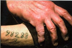 I testimoni di geova e la persecuzione nazista: «Noi dimenticati dalla storia»