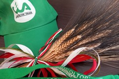 Grano duro, protesta CIA Puglia: «Voto contrario nelle quotazioni, pratiche sleali»