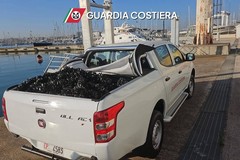 A Bari sequestrati 600 chili di cozze