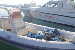 Quattro quintali di ostriche e pesce non tracciato, sequestro della guardia costiera a Bari