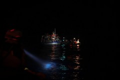 Porto di Bari, tutto pronto per accogliere i 190 migranti salvati dalla Geo Barents