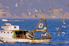 Pescatore di Mola si ferisce alla testa su un peschereccio in Sicilia