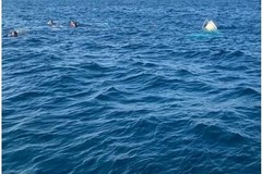 Monopoli, affonda la barca a noleggio: cinque persone salvate da poliziotto fuori servizio