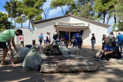 World clean up day, 200 volontari ripuliscono la pineta