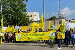 Crolla il prezzo del grano, contadini in protesta al porto di Bari