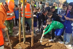 Proseguono i lavori del G124 a Bari, piantati i primi alberi