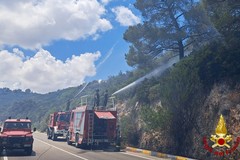 Brucia macchia mediterranea a Monopoli