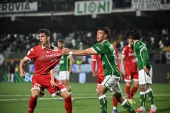 Bari impalpabile in avanti: vince l'Avellino per 2-0. La C è vicina